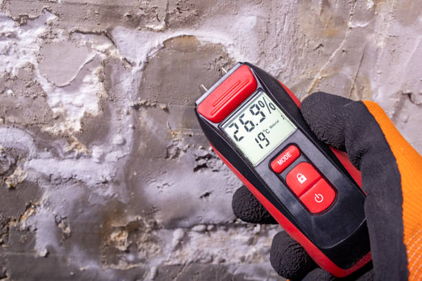 Best Asbestos and Lead Testing During Mold Inspection  in West Burlington, IA